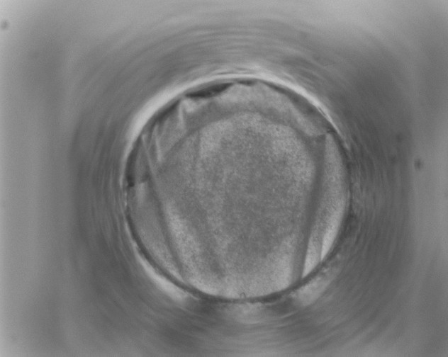 X0000061151519200512091946