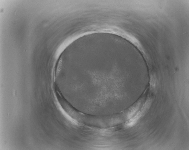 X0000061151520200512091946