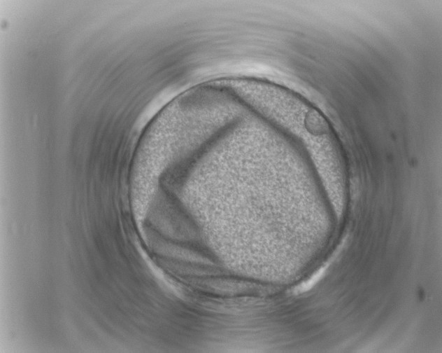 X0000061151521200512091946