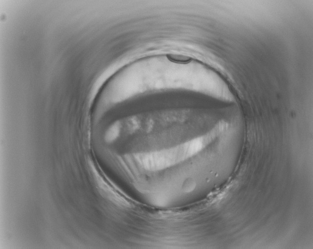 X0000061151522200512091946