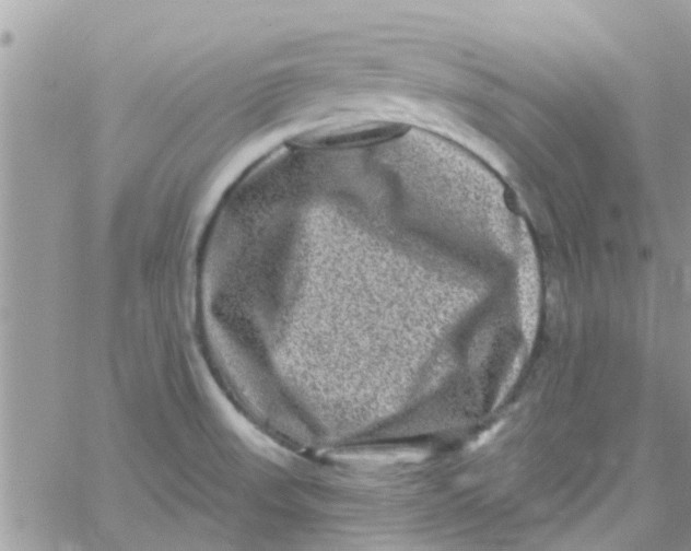 X0000061151523200512091946