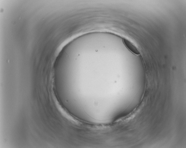 X0000061151526200512091946