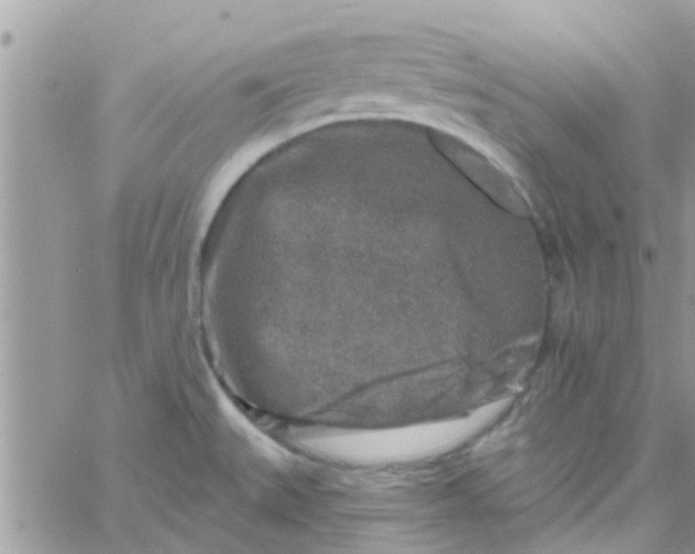 X0000061151527200512091946