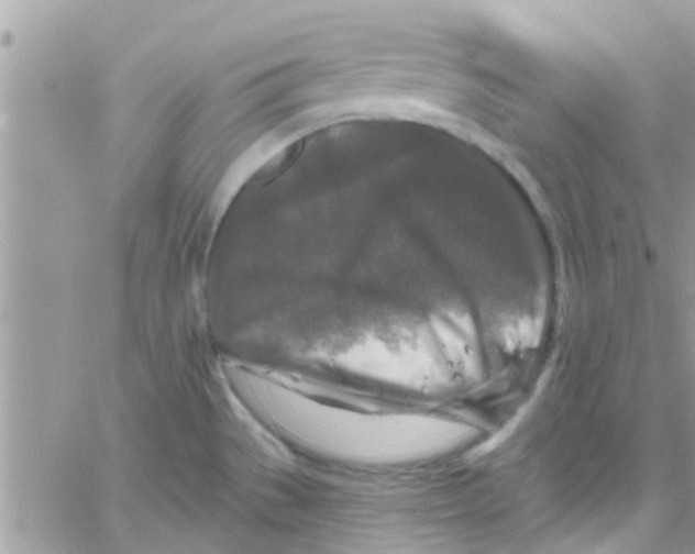 X0000061151529200512091946