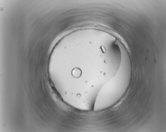 X0000061151530200512091946