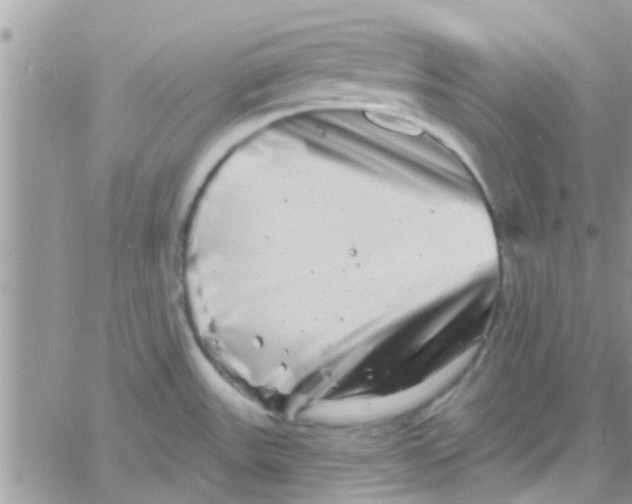 X0000061151531200512091946