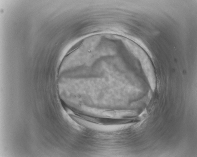 X0000061151532200512091946