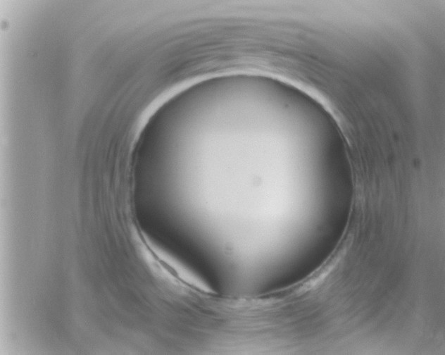 X0000061151534200512091946