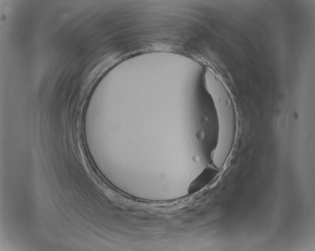 X0000061150001200512161607