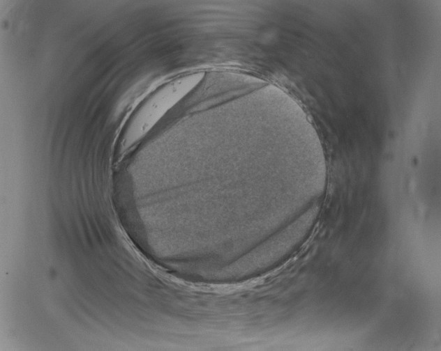 X0000061150002200512161607