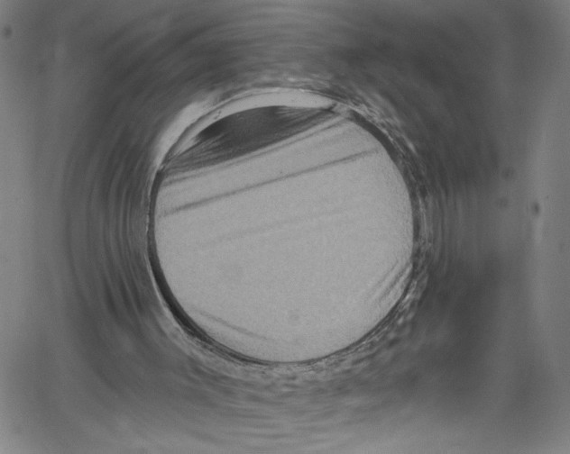 X0000061150003200512161607