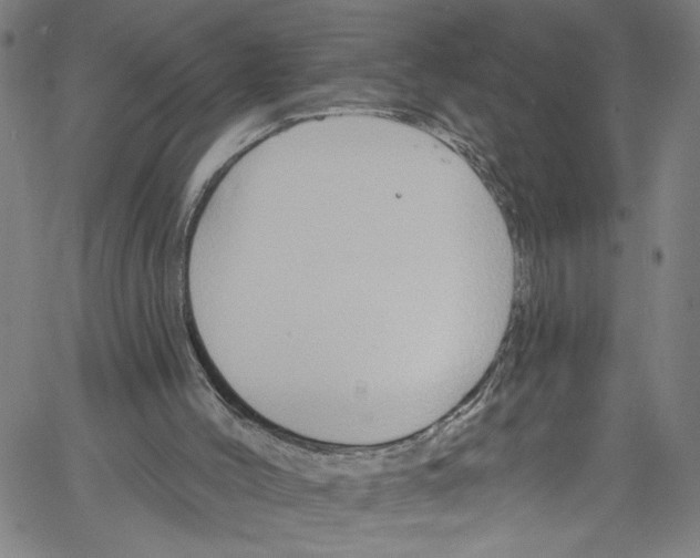 X0000061150004200512161607