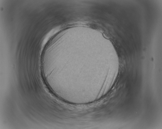 X0000061150006200512161607