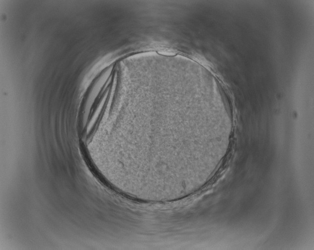 X0000061150007200512161607