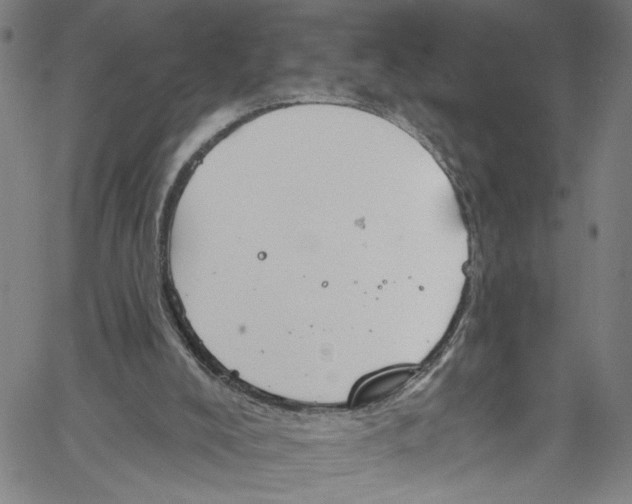 X0000061150008200512161607