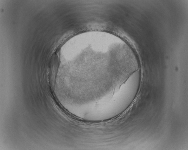 X0000061150009200512161607