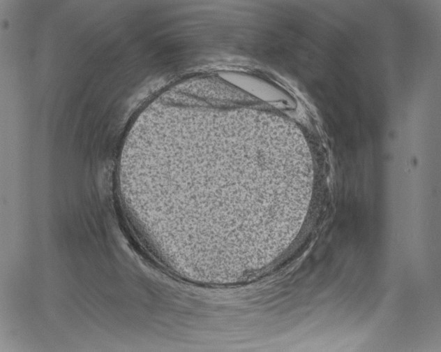 X0000061150010200512161607