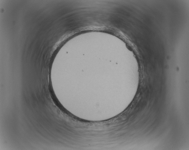 X0000061150011200512161607