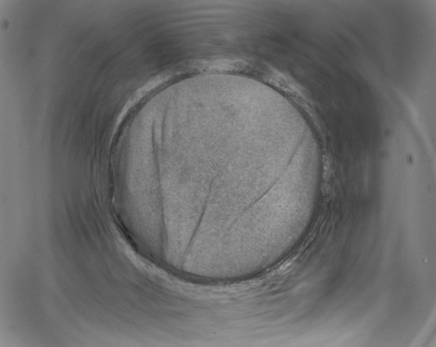 X0000061150012200512161607