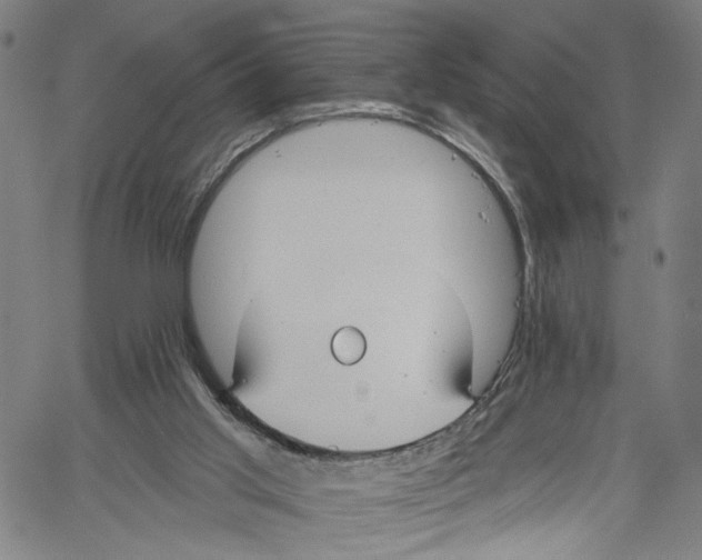 X0000061150013200512161607