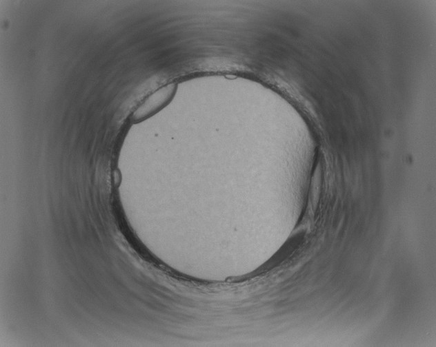 X0000061150015200512161607