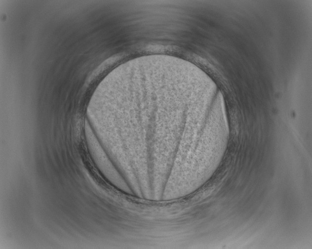 X0000061150016200512161607