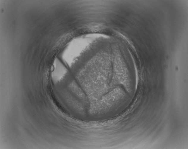 X0000061150018200512161607