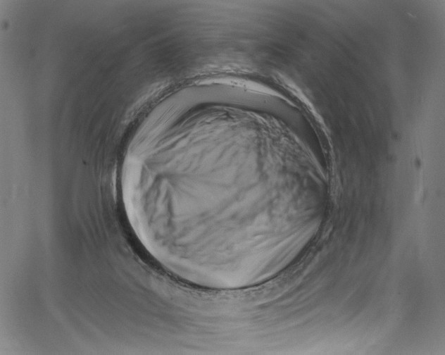 X0000061150019200512161607