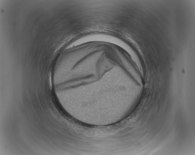 X0000061150020200512161607