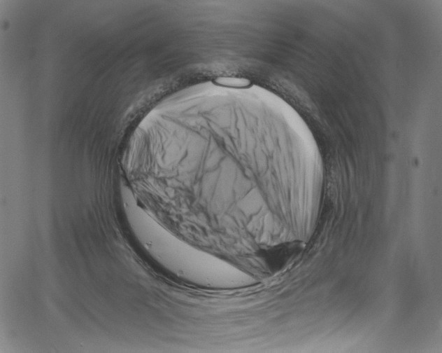 X0000061150023200512161607