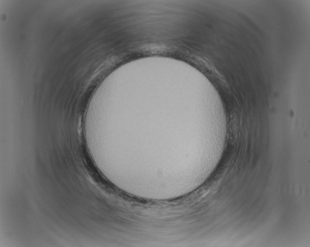 X0000061150024200512161607