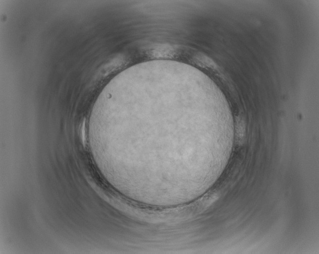 X0000061150028200512161607