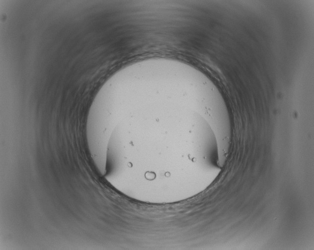 X0000061150029200512161607