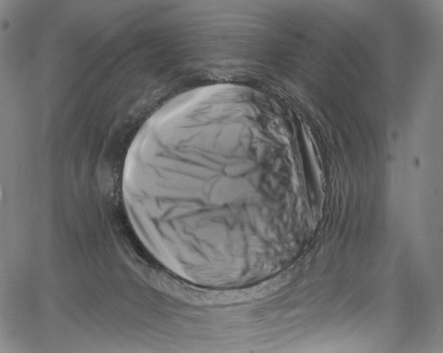 X0000061150031200512161607