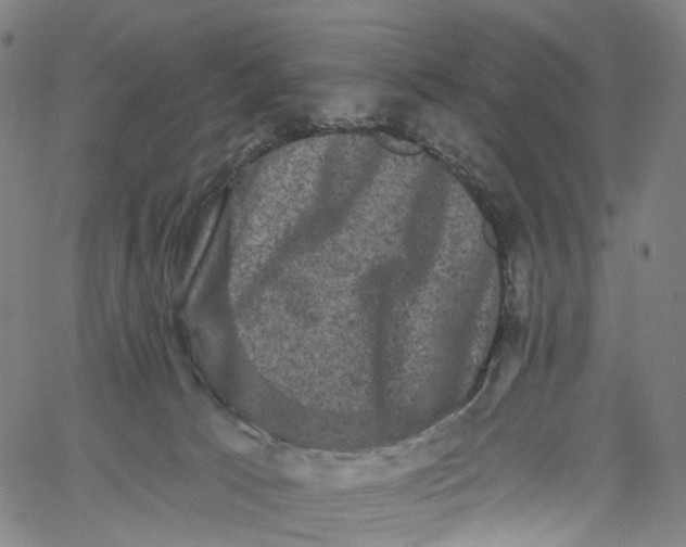 X0000061150033200512161607