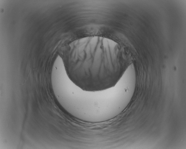 X0000061150035200512161607