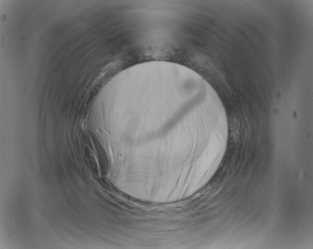 X0000061150036200512161607