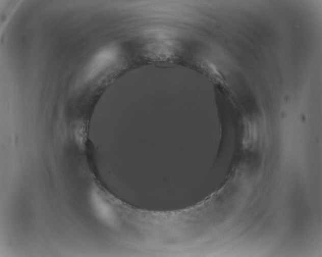 X0000061150037200512161607