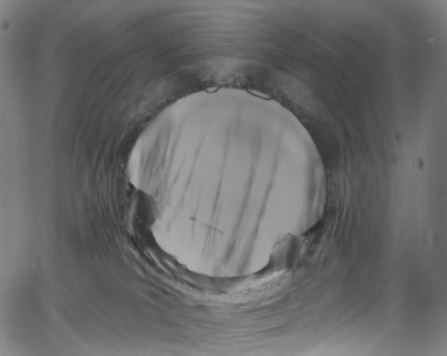 X0000061150039200512161606