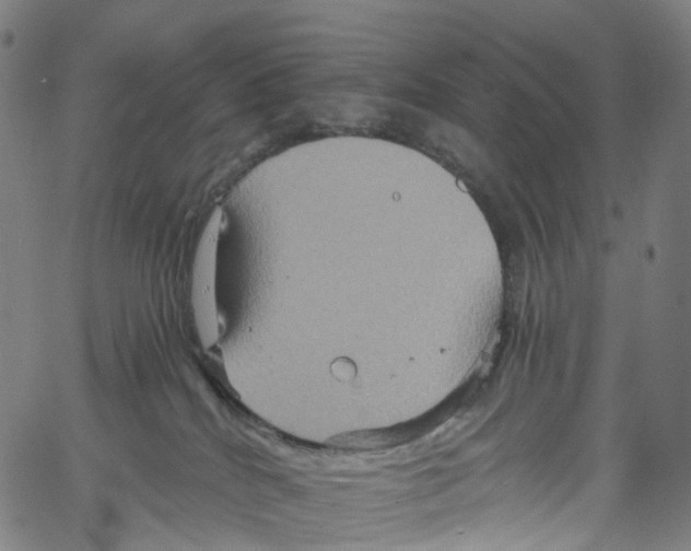 X0000061150040200512161606