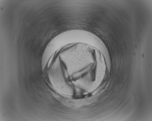 X0000061150041200512161606