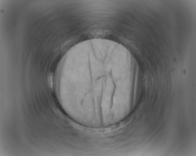 X0000061150042200512161606