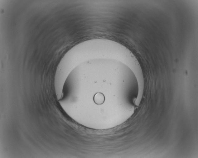 X0000061150043200512161606