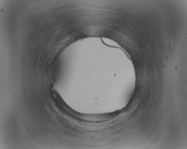 X0000061150044200512161606