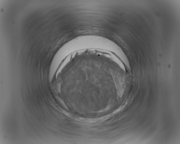 X0000061150045200512161606