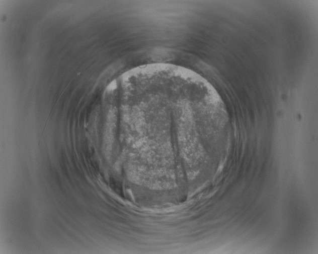 X0000061150046200512161606