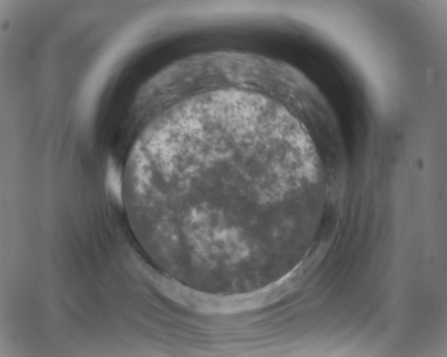 X0000061150047200512161606