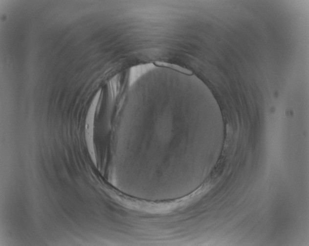 X0000061150048200512161606