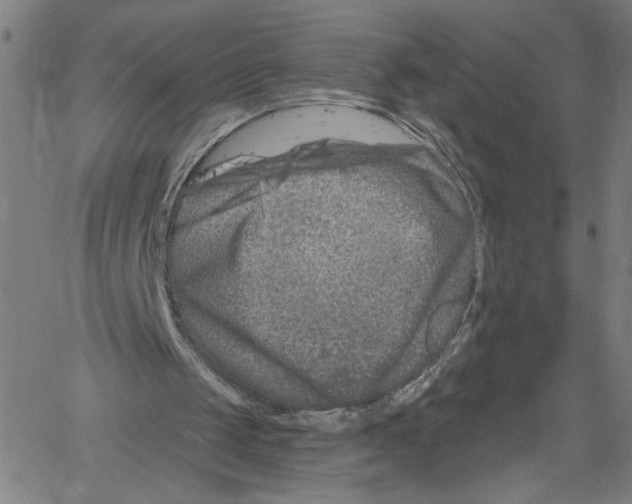 X0000061150049200512161606