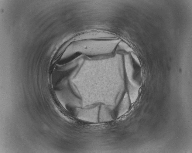 X0000061150050200512161606